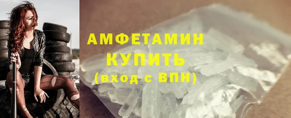 шишки Богородицк